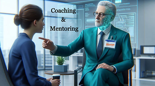 Coaching & Mentoring